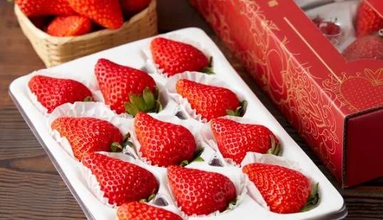 草莓甜度比較 草莓甜度比較