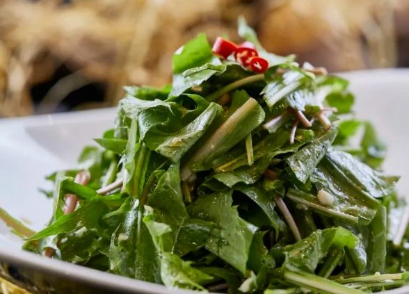 容易種植的蔬菜 容易種植的蔬菜