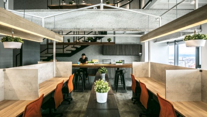 辦公室綠化植物