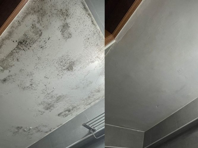 浴室天花板發霉油漆 浴室天花板發霉油漆