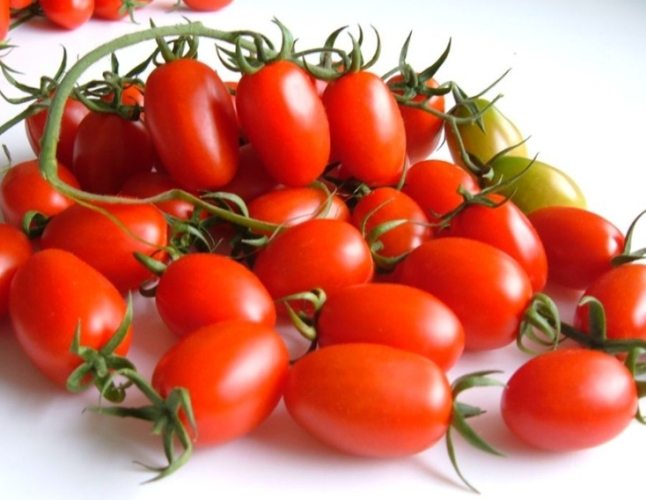 小番茄栽培技巧 小番茄栽培技巧