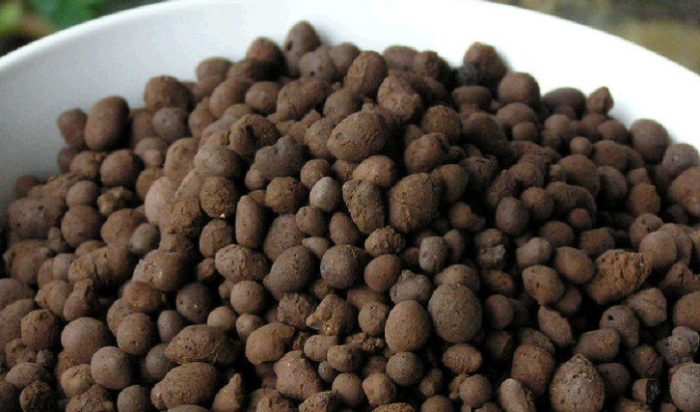 赤玉土泥炭土比例