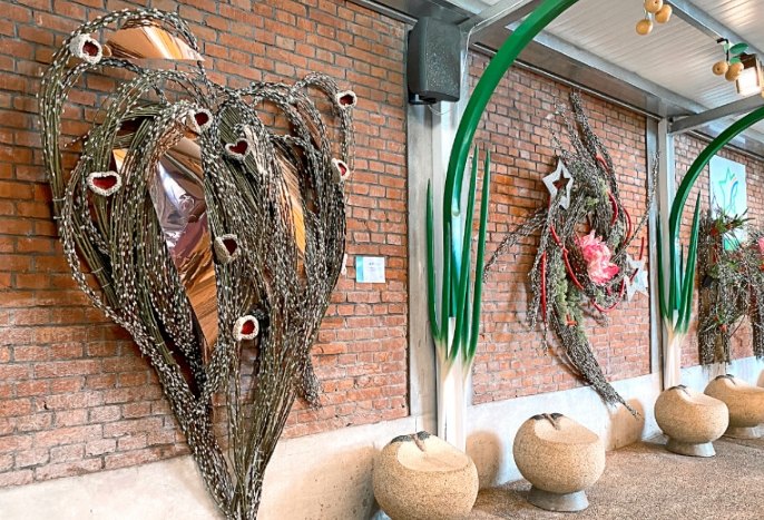 銀柳處理方法 銀柳處理方法