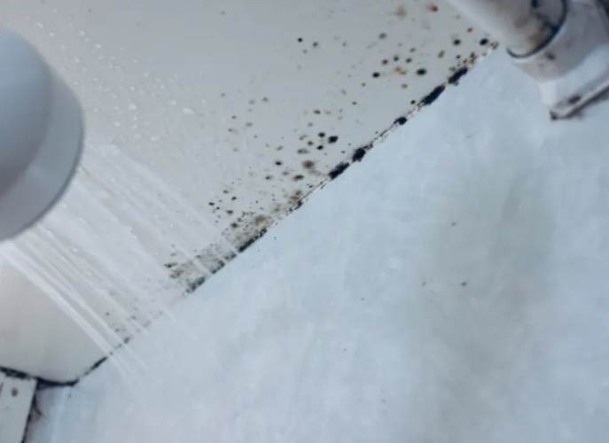 防霉油漆施工 防霉油漆施工