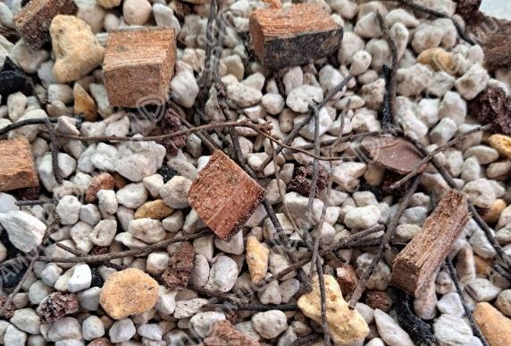 蝴蝶蘭栽培介質