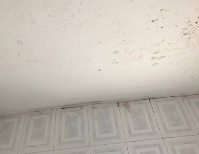 天花板霉斑清除 天花板霉斑清除
