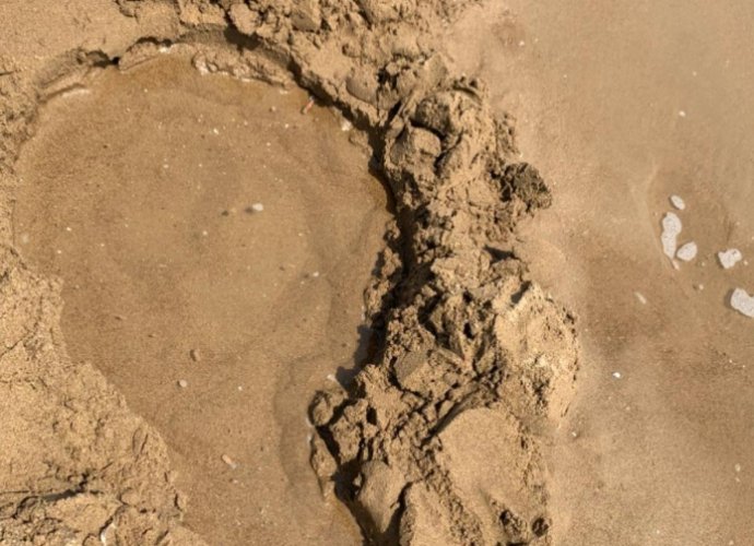 帶沙子回台灣規定 帶沙子回台灣規定