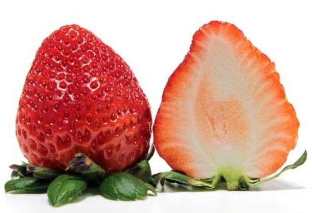 草莓品種缺點 草莓品種缺點