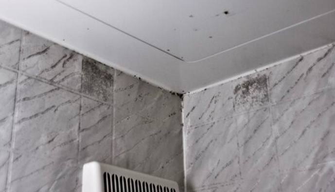 矽利康發霉處理 矽利康發霉處理