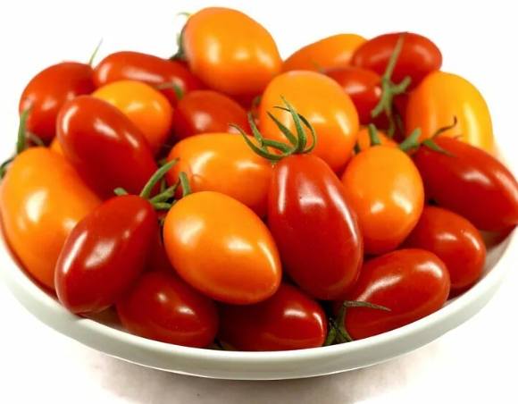 蕃茄修剪方法 蕃茄修剪方法