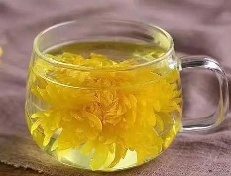 菊花茶 功效 菊花茶 功效