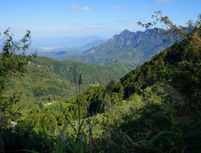 金柑樹山天氣 金柑樹山天氣
