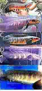 雷龍神話生物 雷龍神話生物