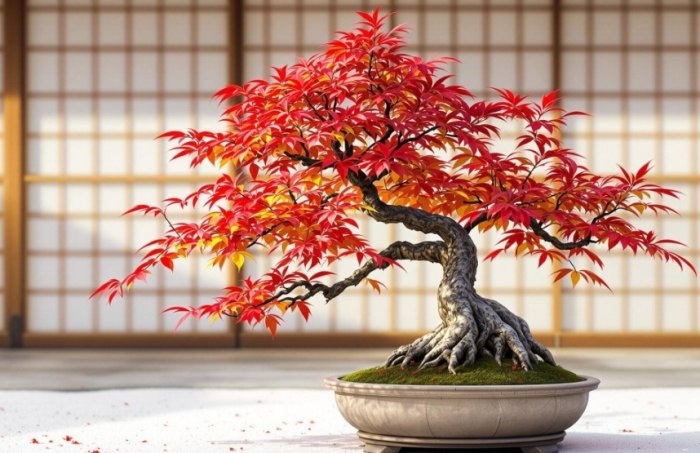 盆栽照顧 盆栽照顧