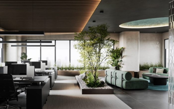 桌面植物养护 桌面植物养护