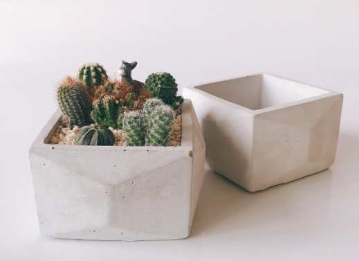 仙人掌盆器材質 仙人掌盆器材質