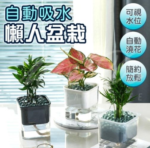 自動吸水花盆好用嗎 自動吸水花盆好用嗎