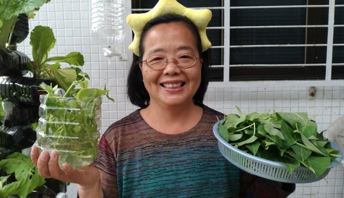 陽台種菜 陽台種菜