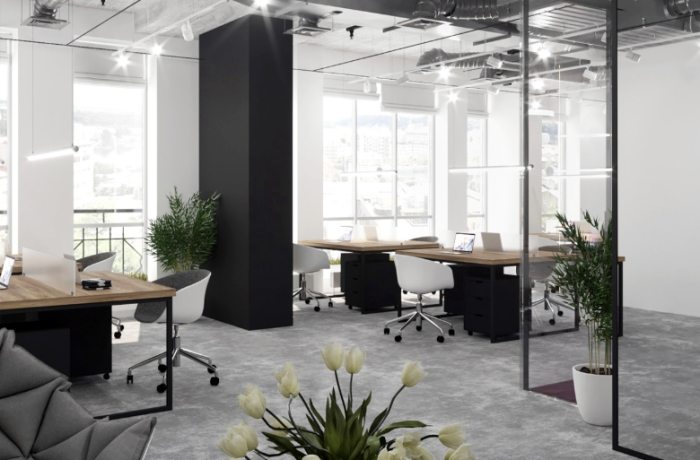 桌面植物养护 桌面植物养护