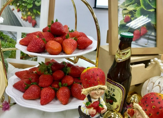 戀香草莓 品種特性 戀香草莓 品種特性
