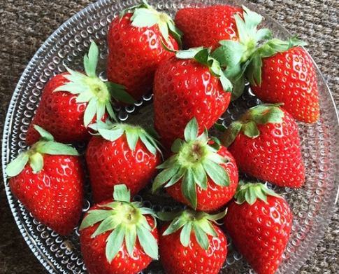 台灣草莓品種 台灣草莓品種