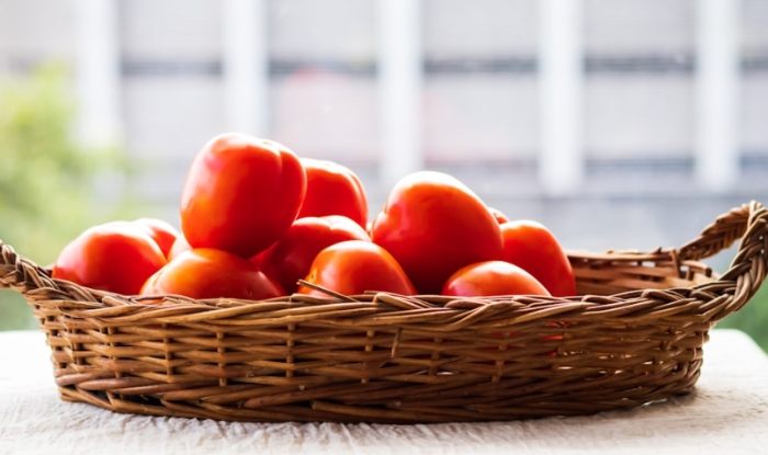 種蕃茄季節 種蕃茄季節