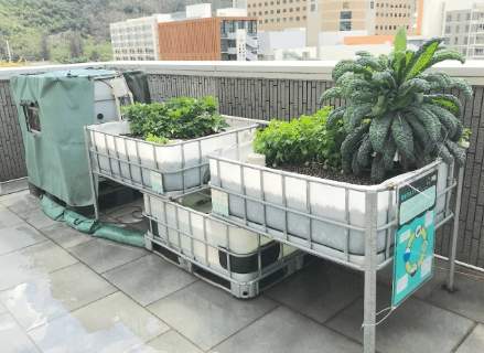 循環水耕農業 循環水耕農業