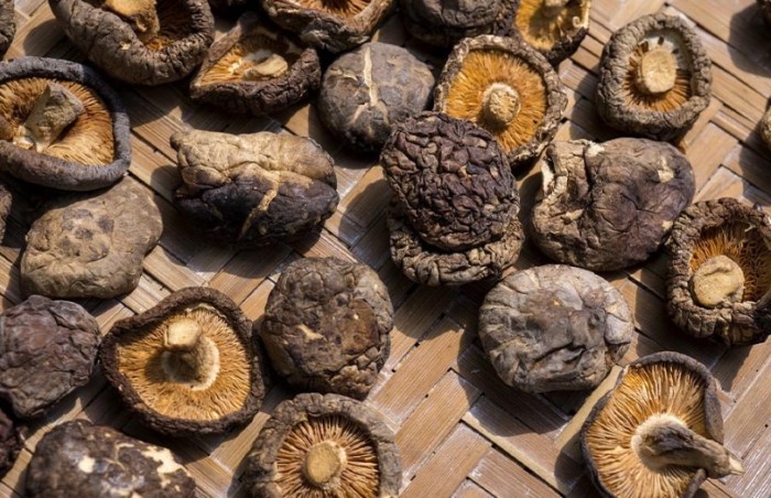 台灣 海關 乾香菇 規定 台灣 海關 乾香菇 規定