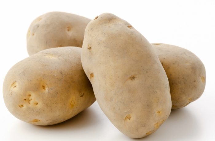 塊莖繁殖 塊莖繁殖