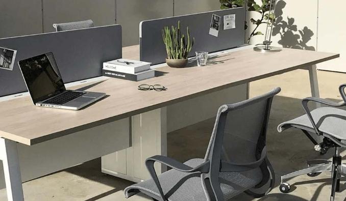 適合辦公室的植物