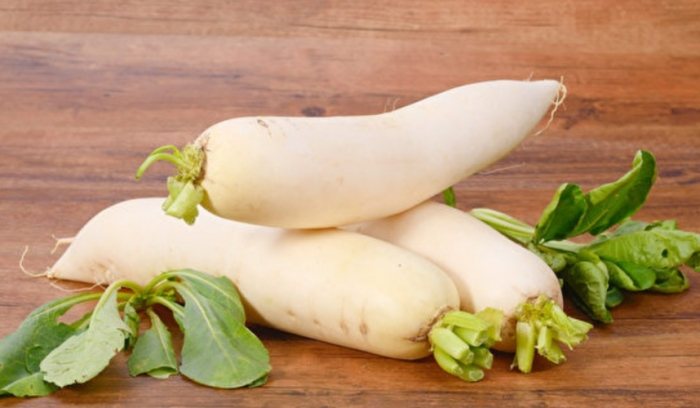 白蘿蔔禁忌中醫 白蘿蔔禁忌中醫