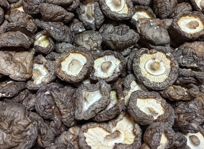 乾香菇可以帶回台灣嗎 乾香菇可以帶回台灣嗎