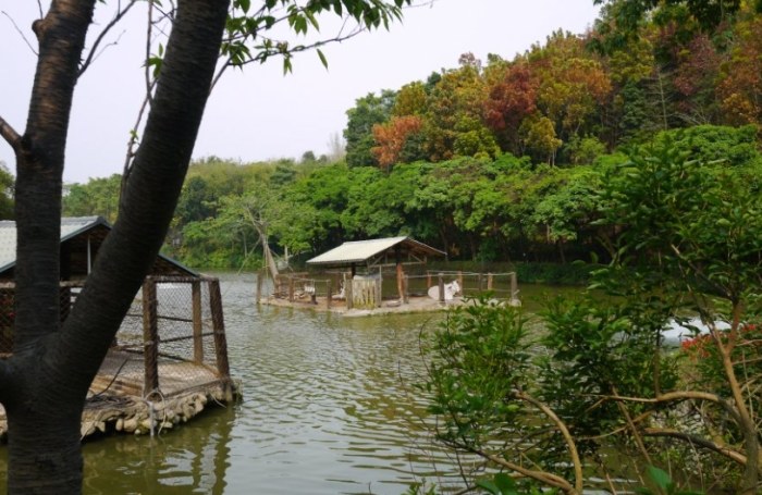 台南親子農場 台南親子農場