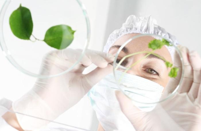 樹木修剪目的 樹木修剪目的