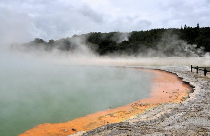 紐西蘭換匯技巧 紐西蘭換匯技巧