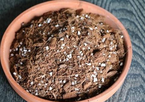 赤玉土使用教學