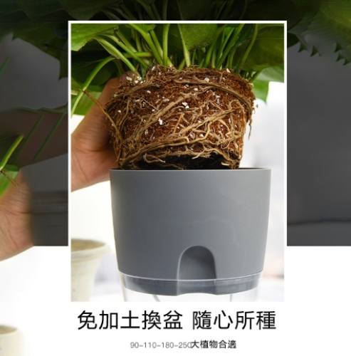 自動吸水花盆 評價 自動吸水花盆 評價