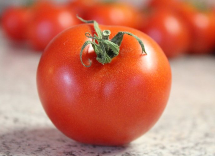 小番茄栽培技巧 小番茄栽培技巧