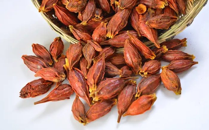 黃枝用途 黃枝用途