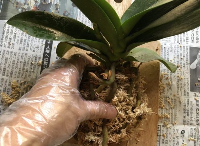 上板材料選擇 上板材料選擇