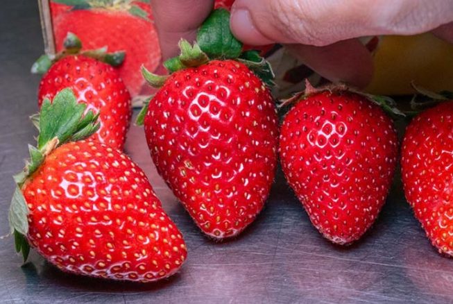 戀香草莓問題 戀香草莓問題