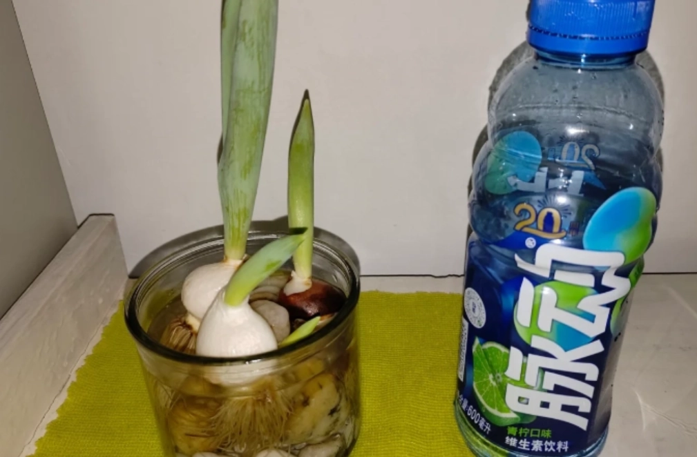 水耕營養液配方