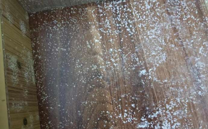 防霉技巧 防霉技巧