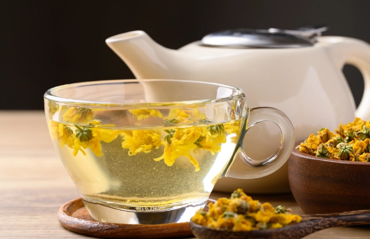 菊花茶咳嗽功效