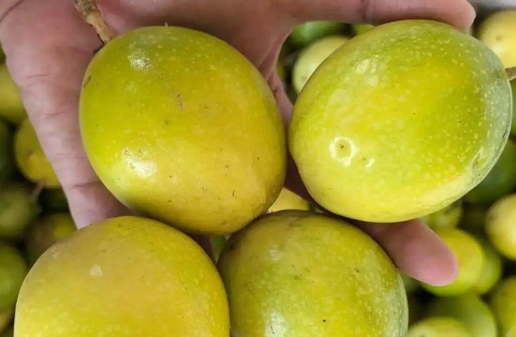 百香果營養價值