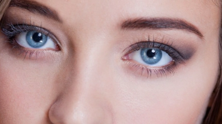 顧眼睛保健食品 顧眼睛保健食品