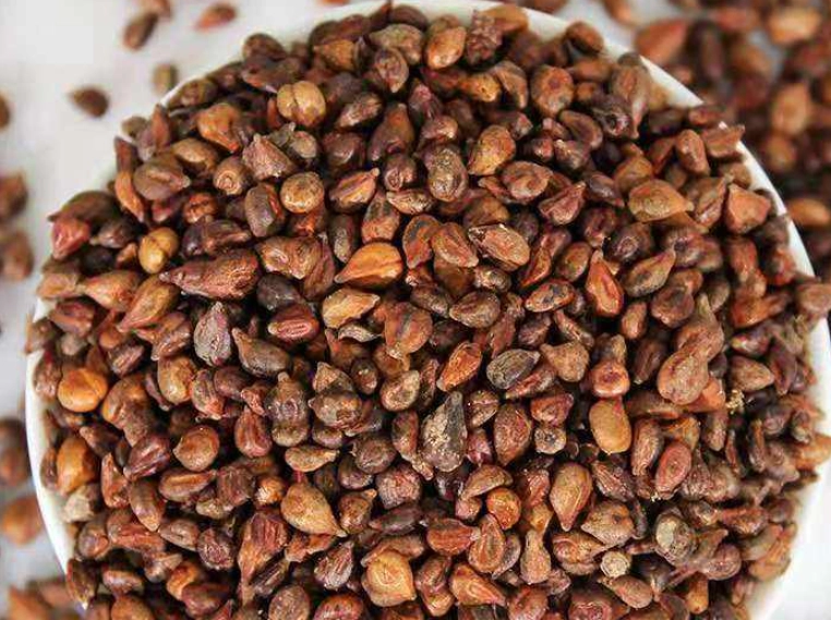 葡萄籽可以种嗎