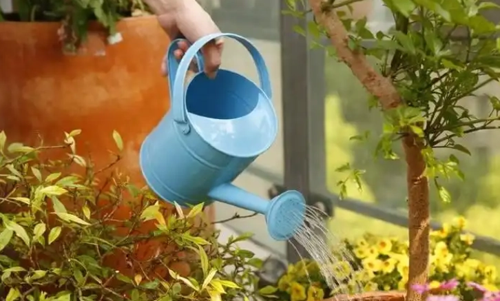 自來水澆花利弊