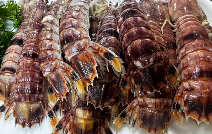 皮皮蝦營養價值 皮皮蝦營養價值