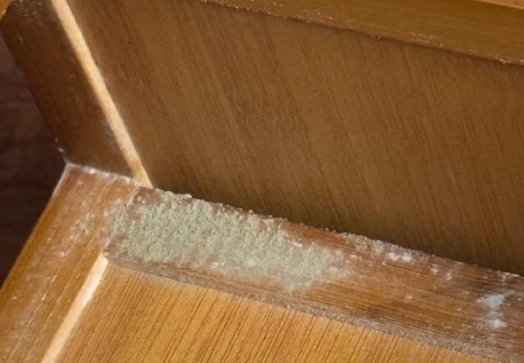 防霉技巧 防霉技巧